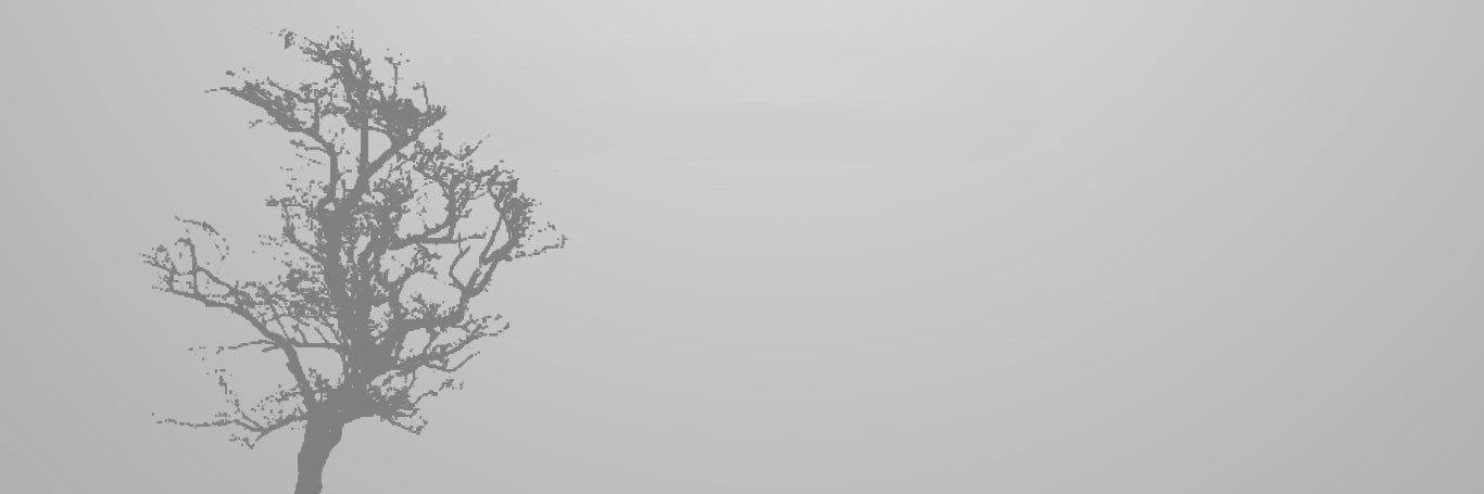 حليمه سليمان banner