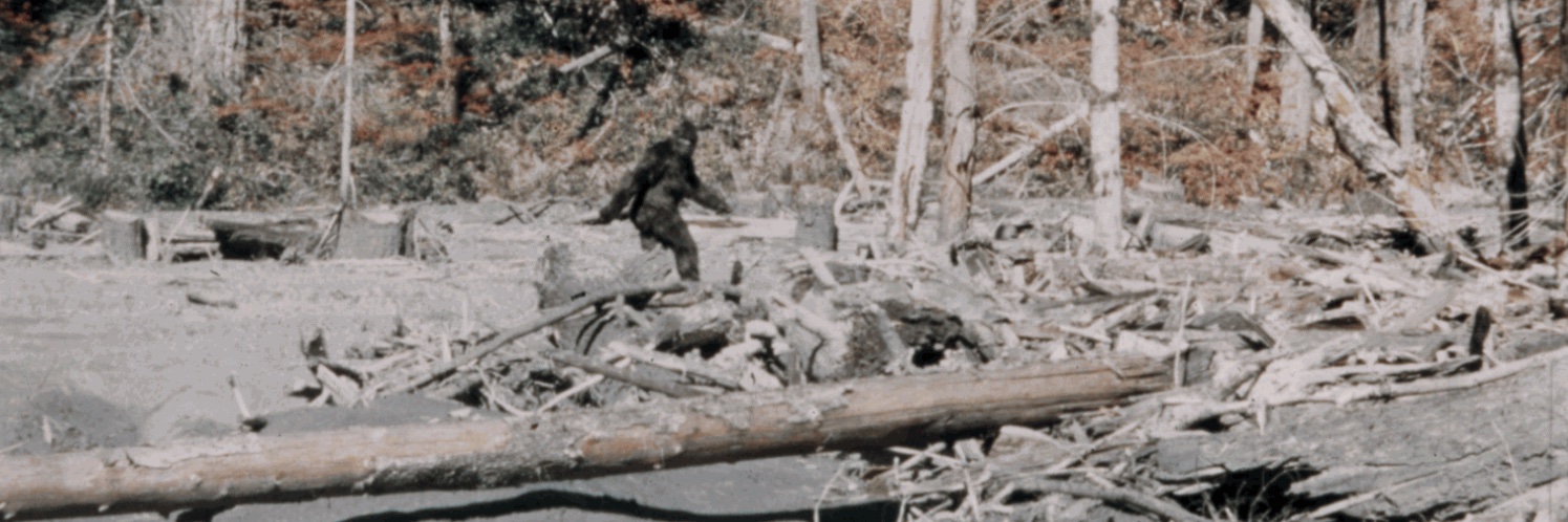 JacobBronstein's profile banner image