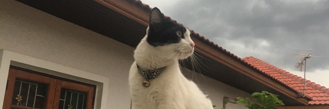 FirstFallen.P banner