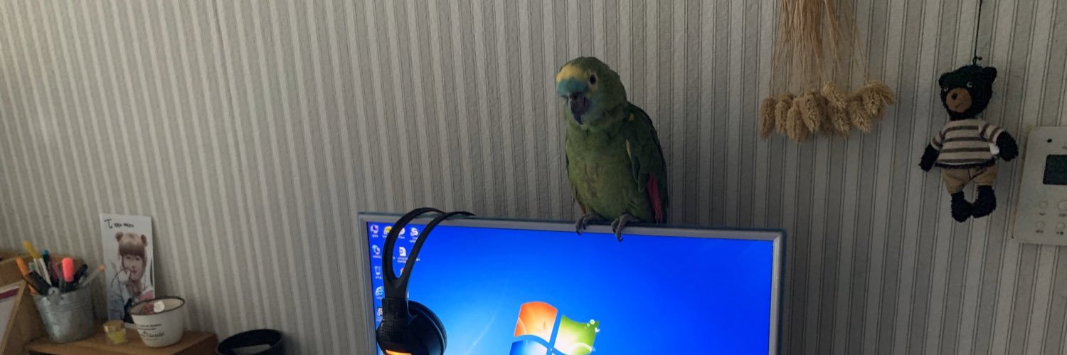 m0ndaidarake's profile banner image