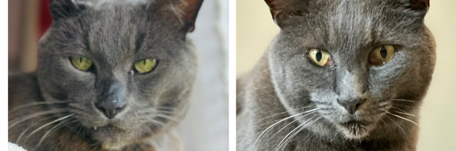 Zoe, just Zoe banner