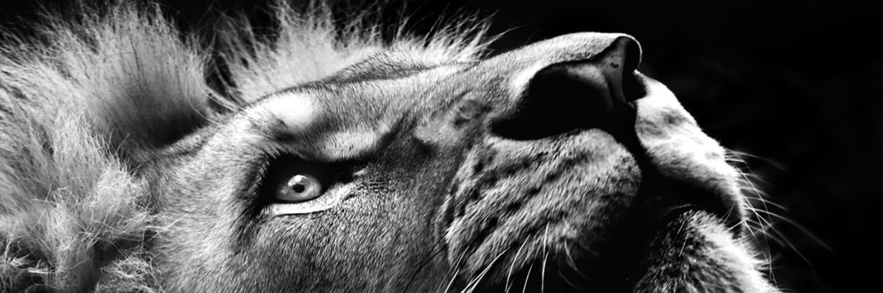 MyPhamousLife's profile banner image