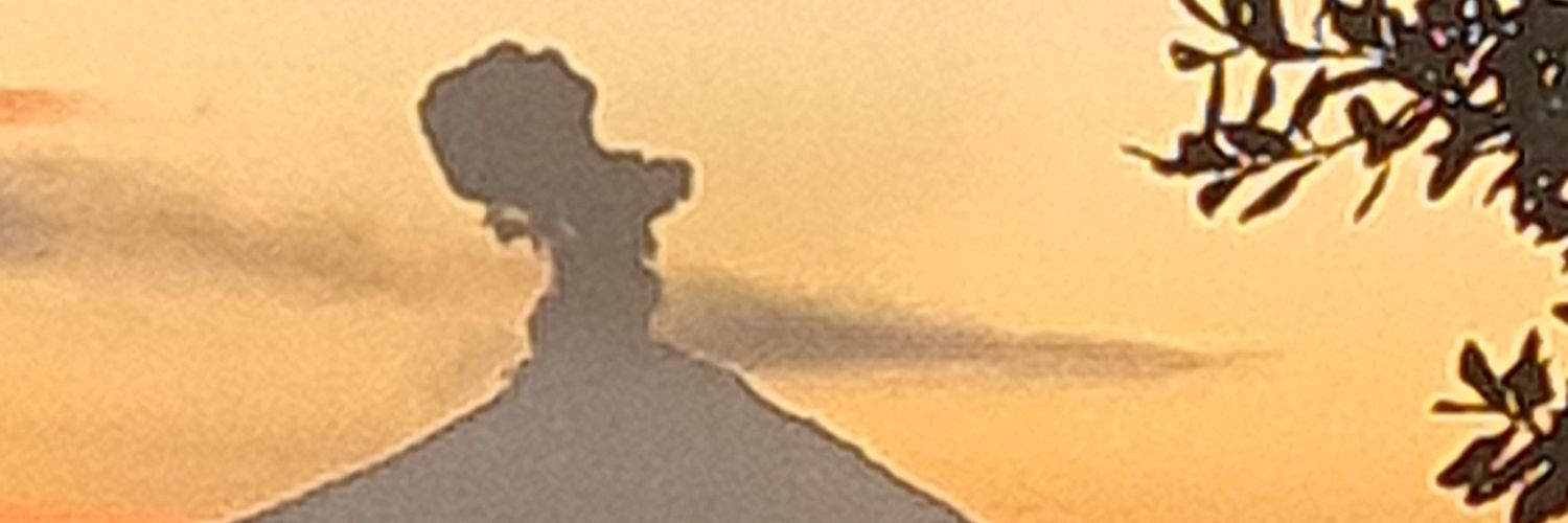Josefina Martín banner