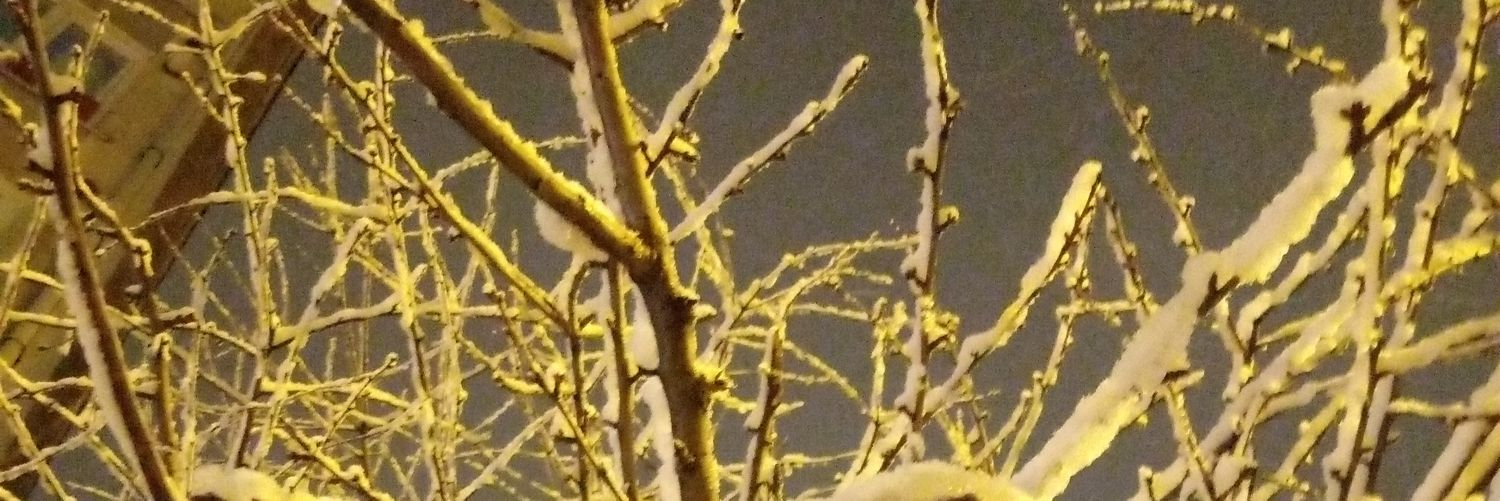 meryem_k1's profile banner image