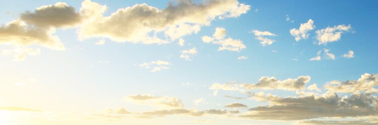 Noblemans22's profile banner image
