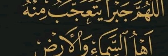 aml16400189's profile banner image