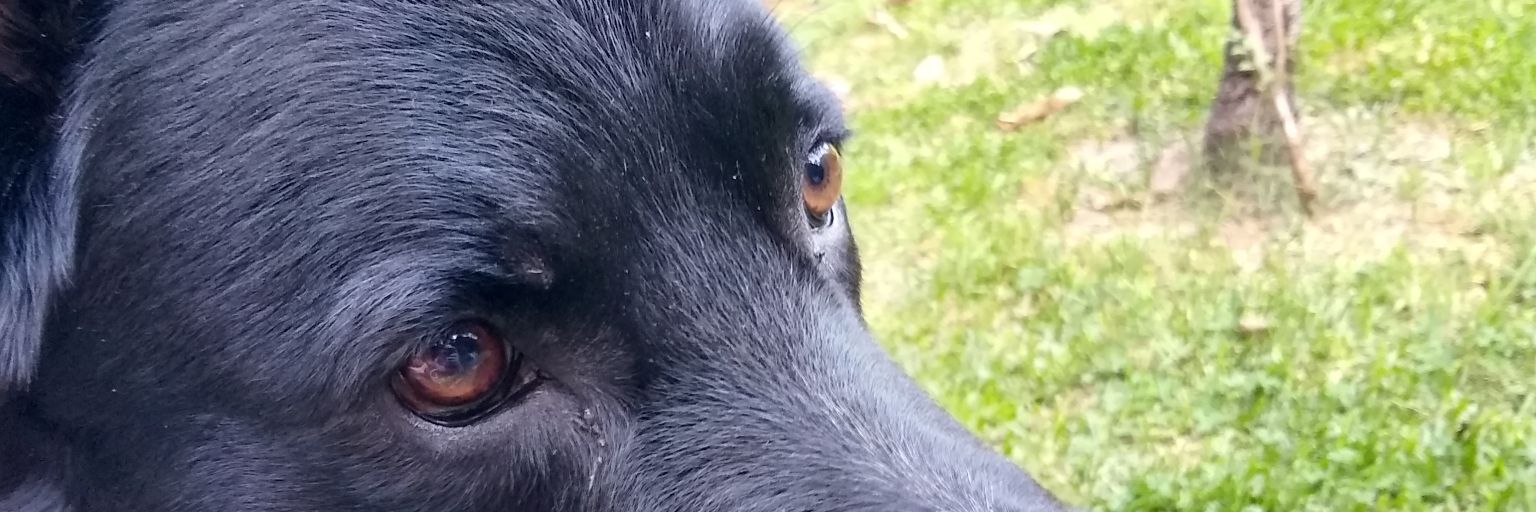 prelu17's profile banner image