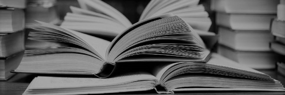 Memory Novels LAB banner