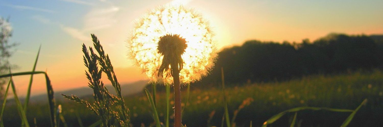 turgay_has's profile banner image