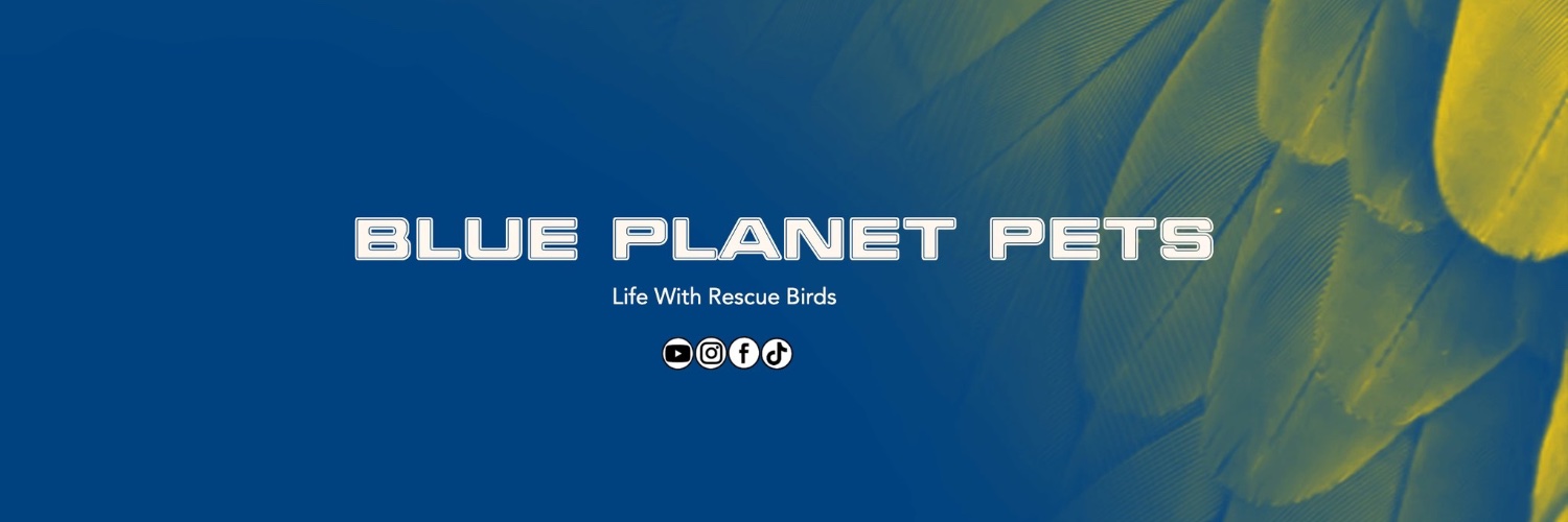 BluePlanetPets's profile banner image