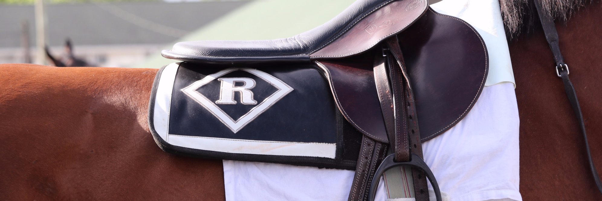 Romansracing's profile banner image
