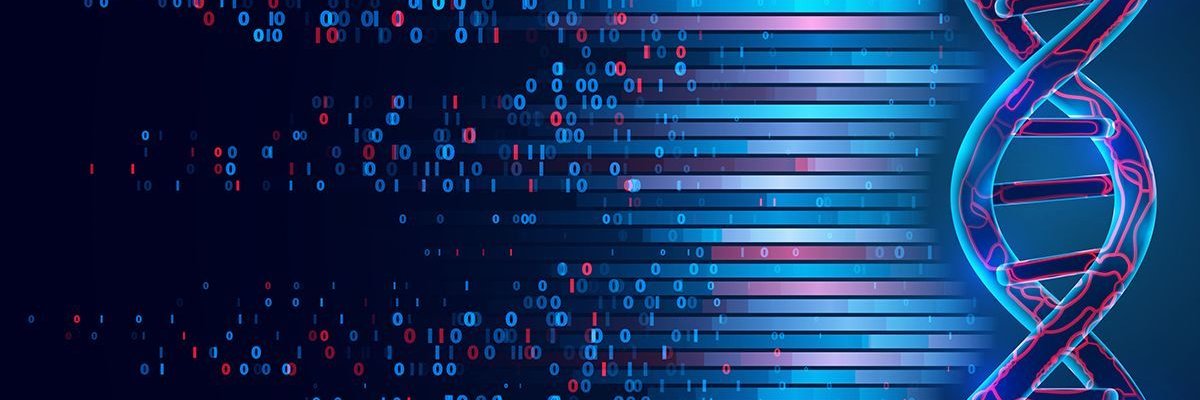 DogeHus ☀️ banner