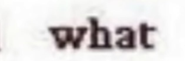 Jaiden Rae Rose🏳️‍⚧️🏳️‍🌈(toh spin arc)✡︎🇵🇸 banner