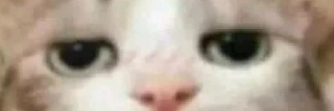 Your Dude banner