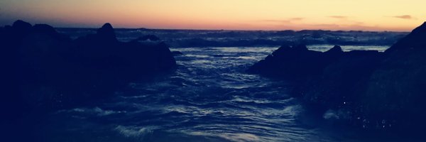 BearCubSA1 Profile Banner