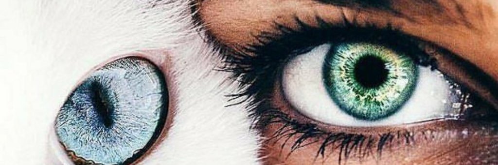 kaptan_ali4's profile banner image