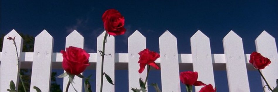 d banner