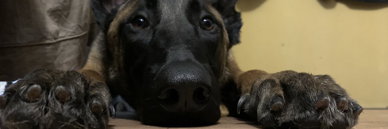 bonooplt's profile banner image