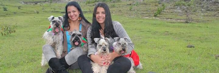 Rubí banner