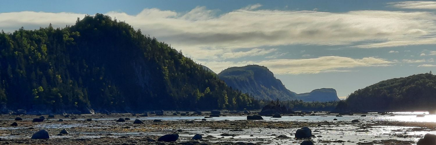 joplam's profile banner image