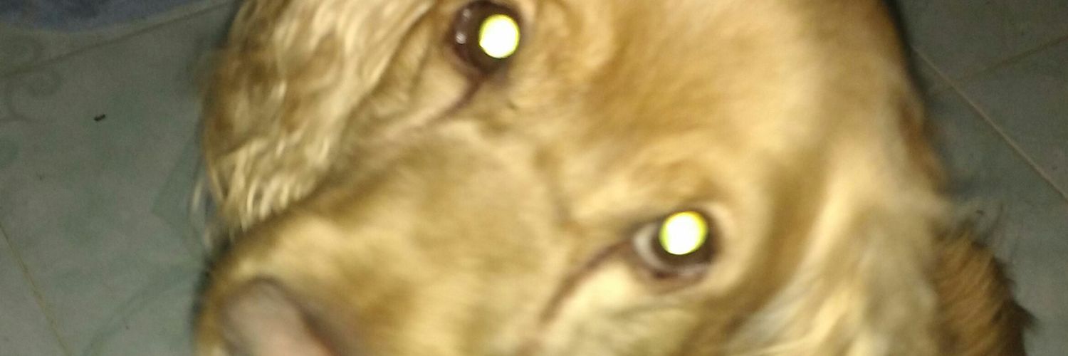 link2636's profile banner image