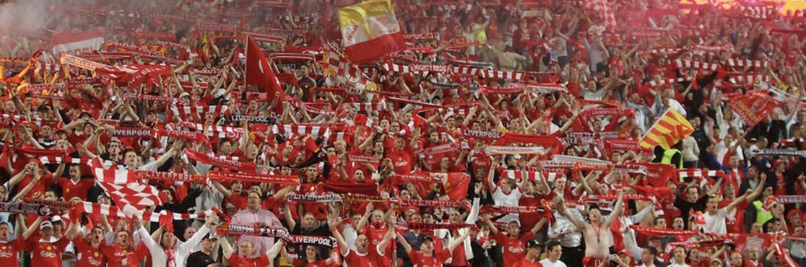 shane banner
