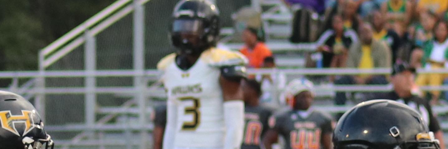 adravien harness banner