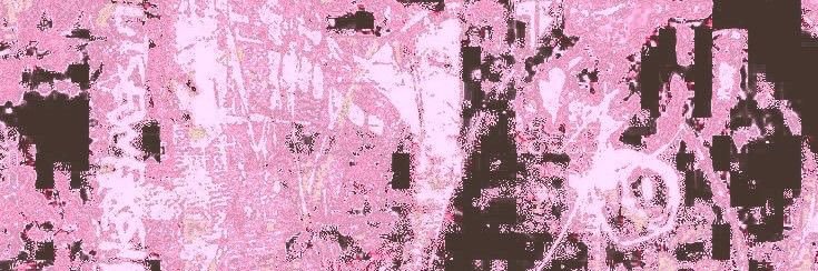 ⋆˚࿔ n𖦹x ⋆ˎˊ˗ banner