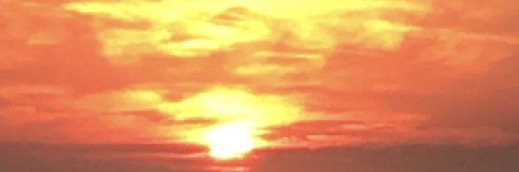 RevCoinX's profile banner image