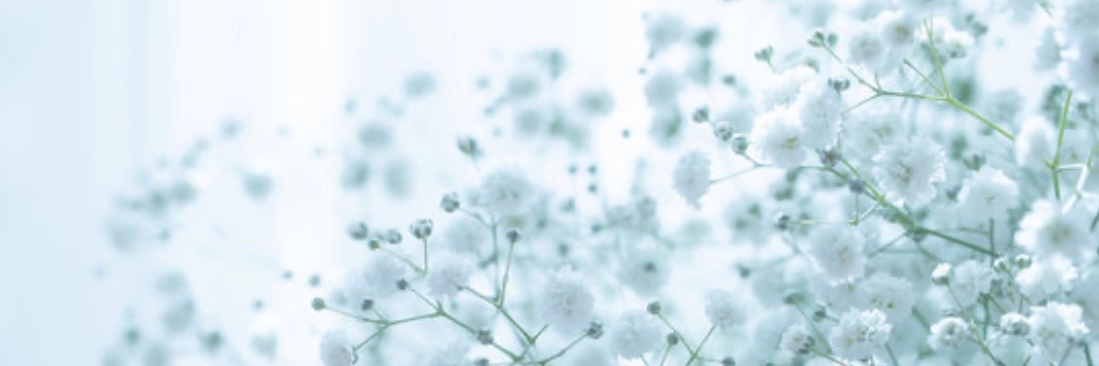 naaa3176490's profile banner image