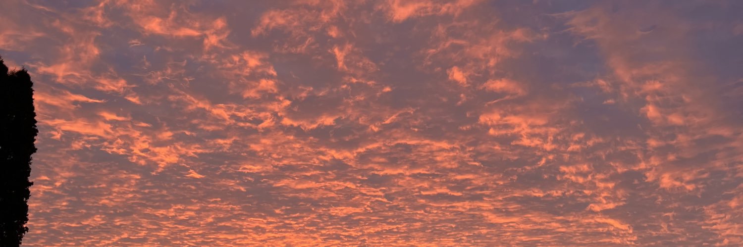 alanahhhhh_'s profile banner image