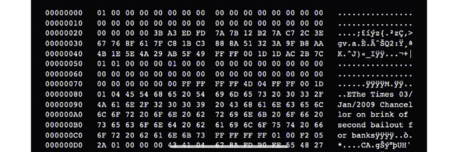 Bitcorn Hodler banner