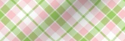 Venus banner