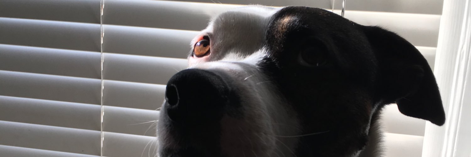 johnmarullo's profile banner image