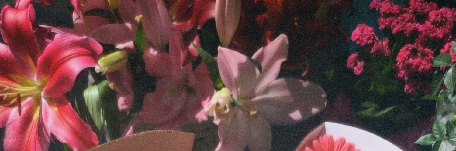 MariaCclarah's profile banner image