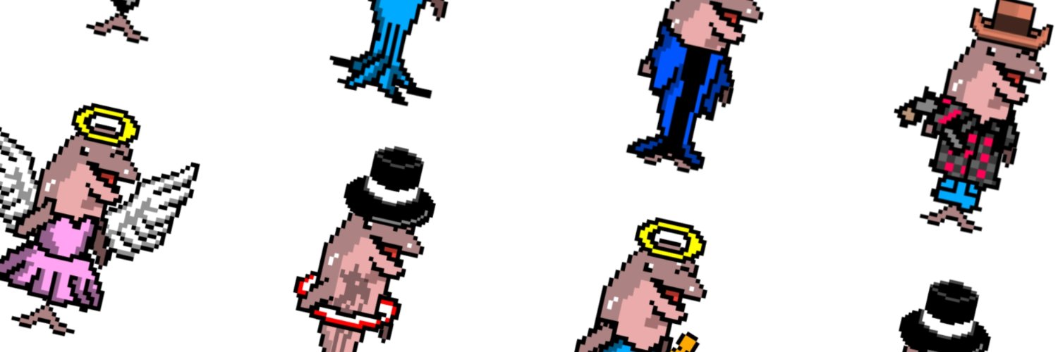 JustDolphin00's profile banner image