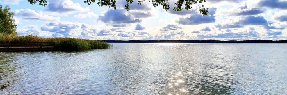 Heljä Salminen banner