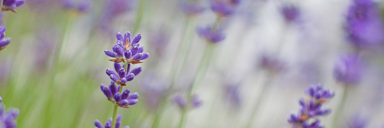 kichi667's profile banner image