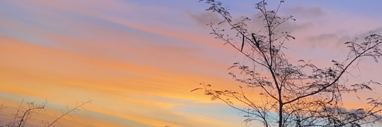 thisuserisatsea's profile banner image