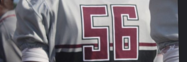 LaddisFead Profile Banner