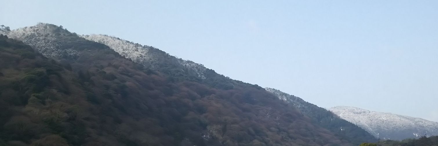 yoru884's profile banner image