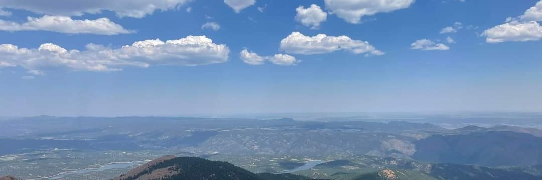 Laura Vincent banner