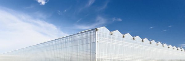 allisonkopf Profile Banner