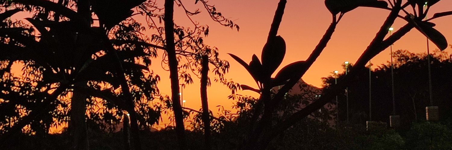 jessfernandees's profile banner image