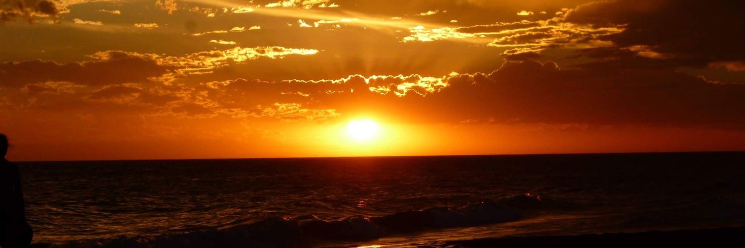 LeoRea77's profile banner image