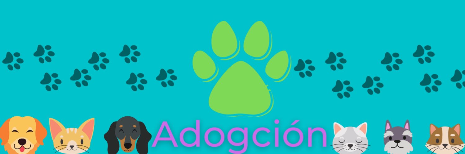 Adogcion's profile banner image
