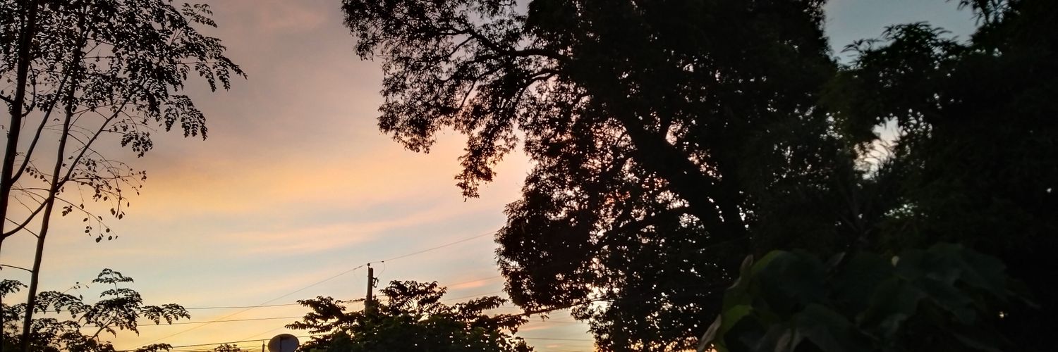 CC25 💤🌷's banner