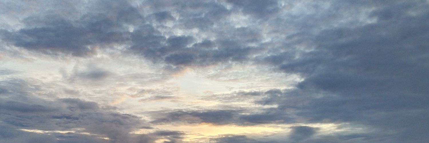 CC25 💤🌿 banner