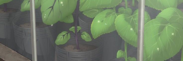 ♬ ´ raz 🌱's banner