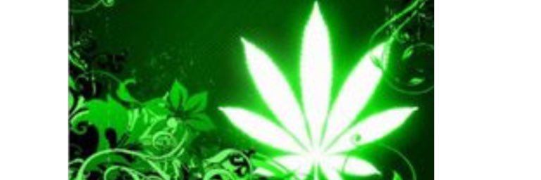 no1nice's profile banner image